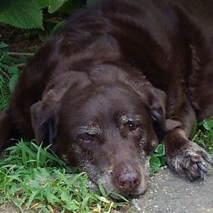 Meet your Posher, Deanna